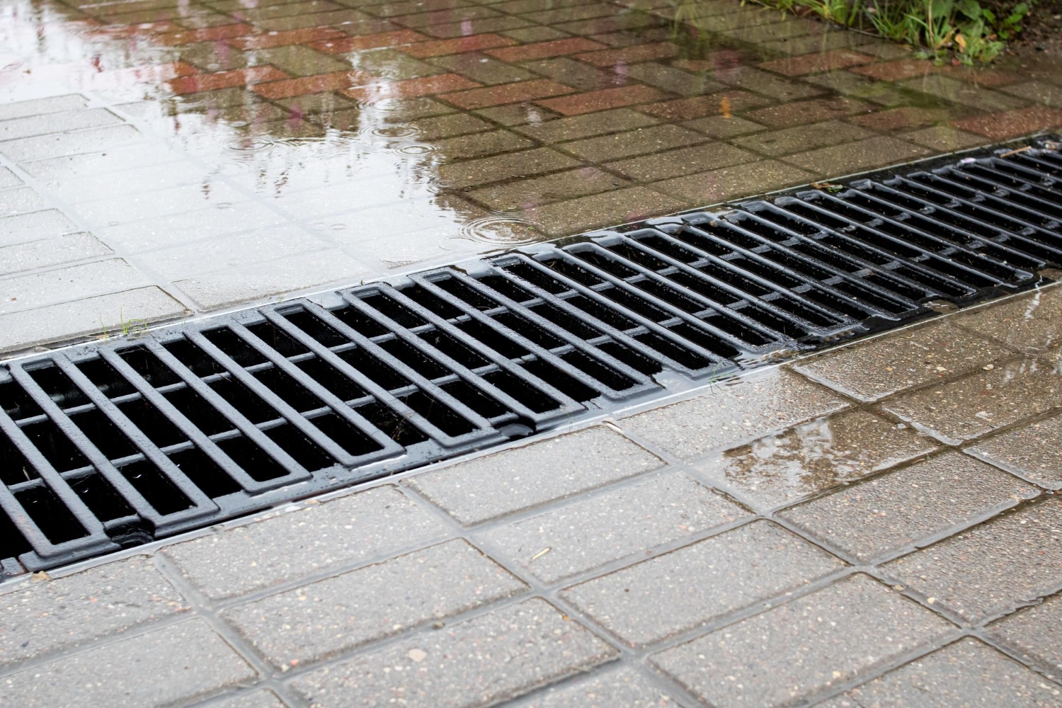 All You Need to Know About French Drains: A Comprehensive Guide